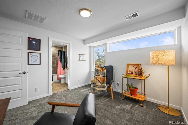 sitting room featuring carpet flooring and a textured ceiling