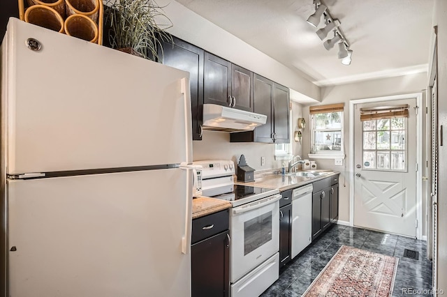 8168 Washington St Unit 46, Denver, CO 80229 - kitchen featuring white appliances, under cabinet range hood, a sink, rail lighting, and light countertops