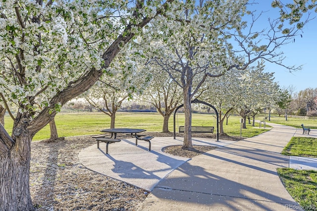 surrounding community with a lawn