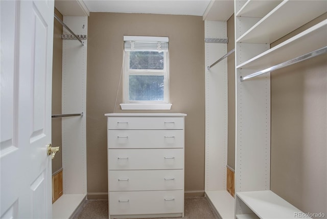 spacious closet featuring carpet