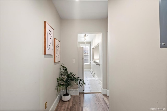 entryway with light wood-type flooring