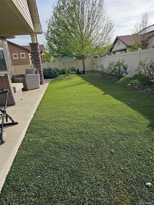 view of yard featuring a patio