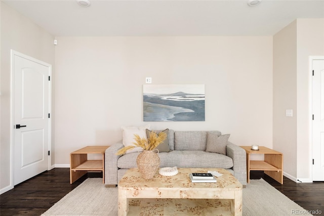 living room featuring dark hardwood / wood-style flooring