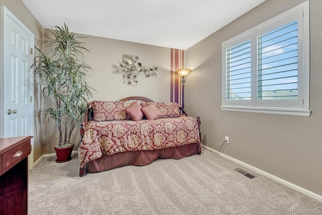 bedroom featuring carpet flooring and multiple windows