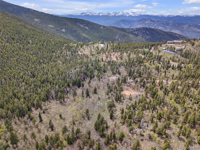 3665 Beaver Brook Canyon Rd, Evergreen, CO 80439