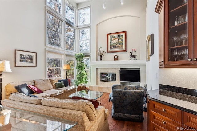 living room featuring a premium fireplace and wood-type flooring