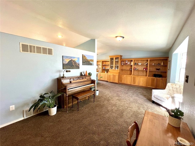 interior space featuring a textured ceiling and vaulted ceiling