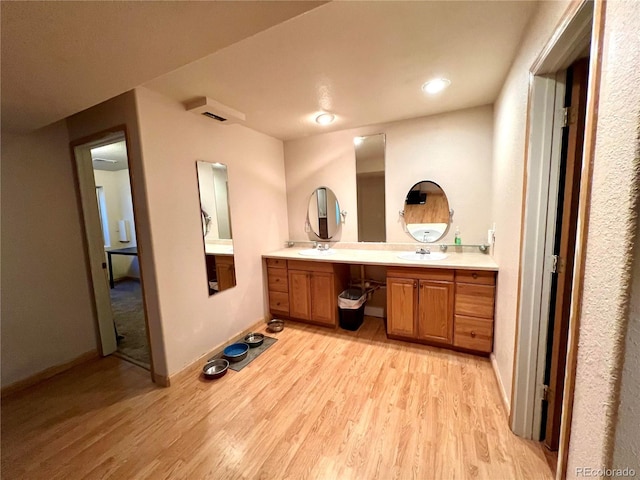 bathroom featuring wood-type flooring and vanity