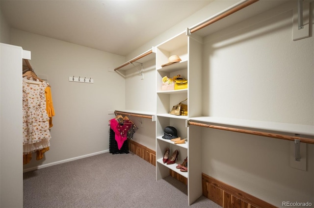 16690 Amberstone Way, Parker, CO 80134 - walk in closet featuring carpet flooring