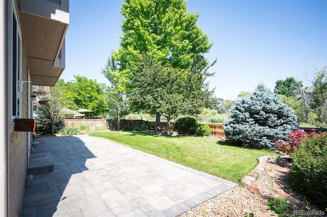 16690 Amberstone Way, Parker, CO 80134 - fenced backyard with a patio area