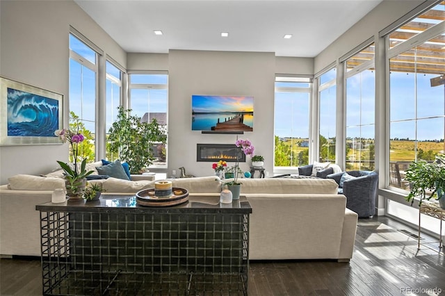 living room with dark hardwood / wood-style floors