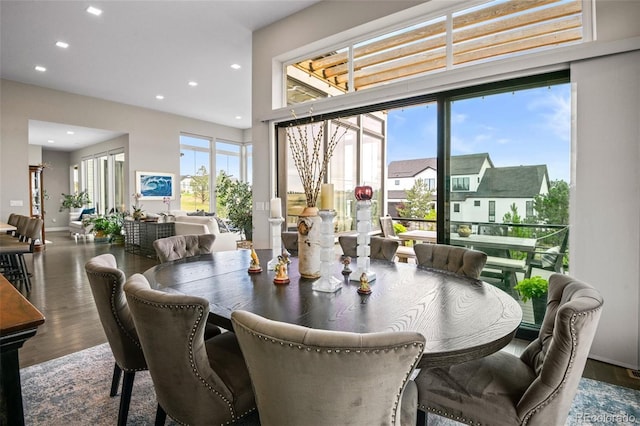 dining area featuring dark wood-type flooring