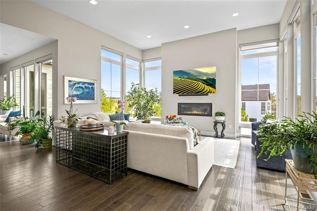 living room featuring dark hardwood / wood-style flooring