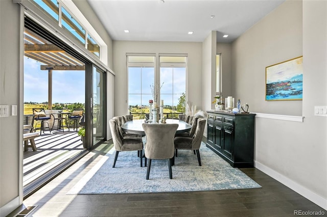 dining room featuring dark hardwood / wood-style flooring