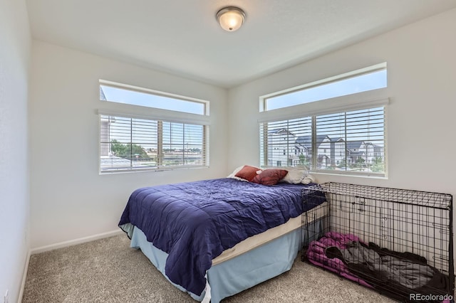 13589 E 102nd Pl, Commerce City, CO 80022 - photo 8