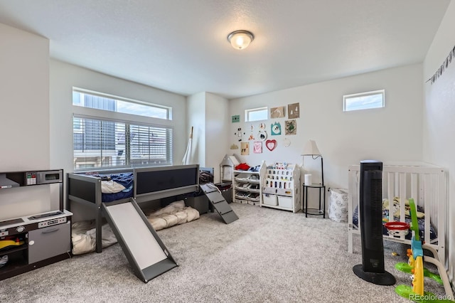 13589 E 102nd Pl, Commerce City, CO 80022 - photo 10