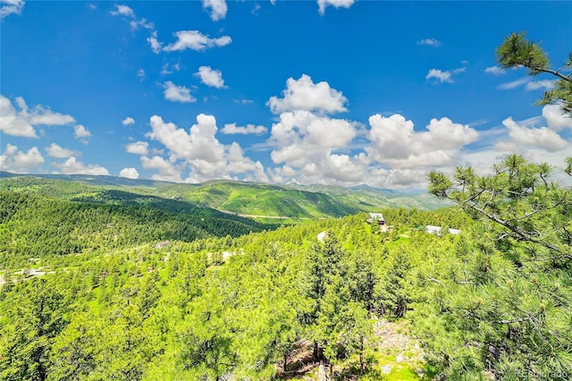 14980 Elk Mountain Trl, Littleton, CO 80127 - view of mountain backdrop with a forest