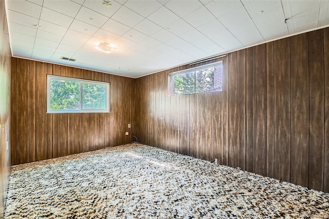 2122 S Yank Way, Lakewood, CO 80228 - spare room featuring plenty of natural light, wooden walls, and carpet flooring