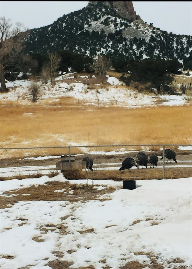 snowy yard featuring a rural view and a mountain view