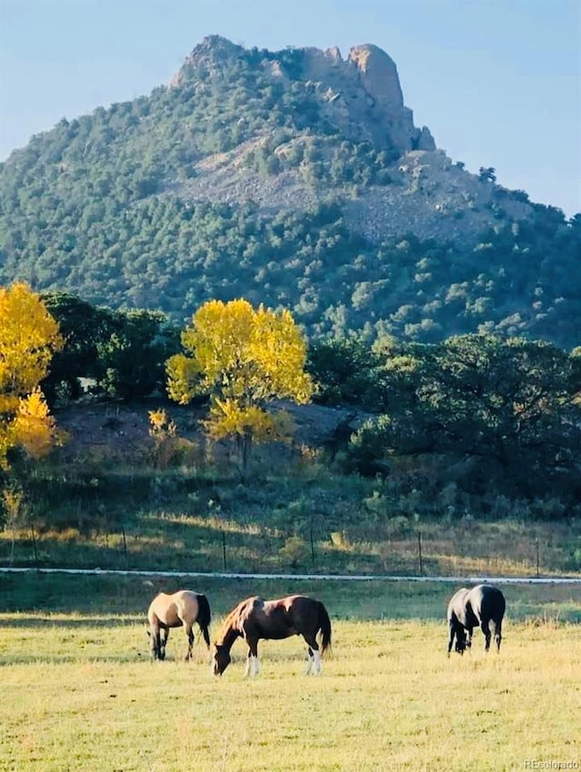 view of property's community featuring a mountain view and a rural view