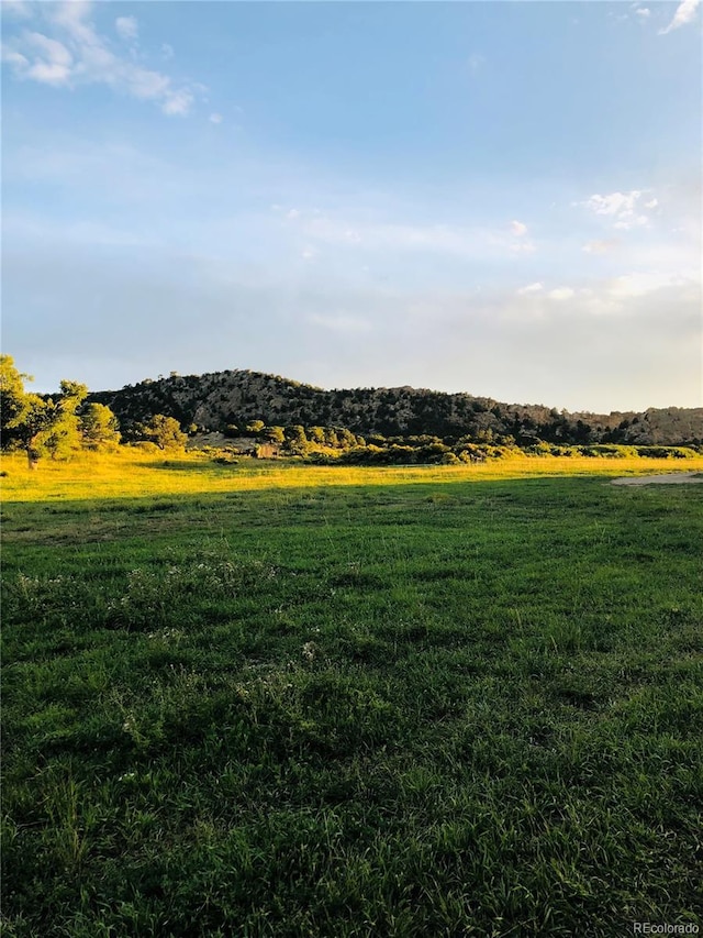 view of yard with a rural view