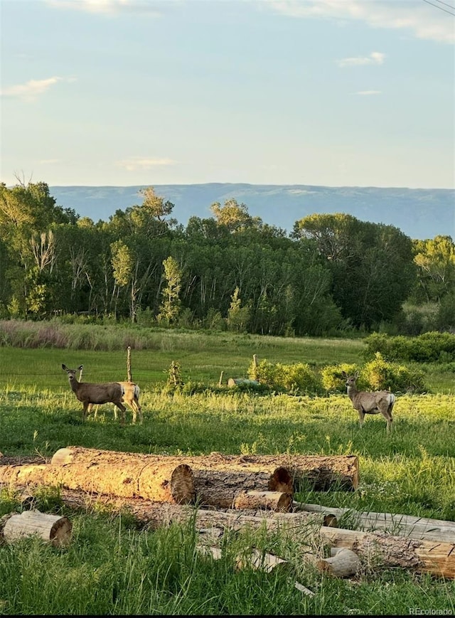 view of landscape with a rural view