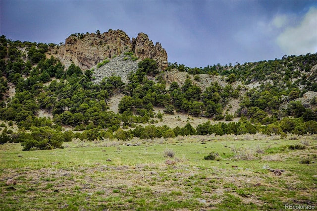 view of mountain feature