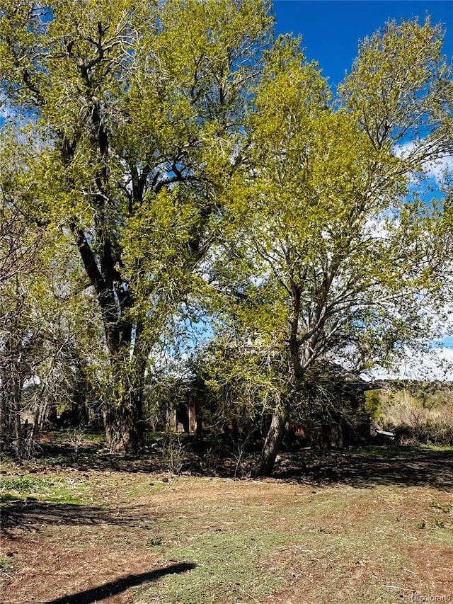 640 County Road 571, Gardner, CO 81040 - photo 46