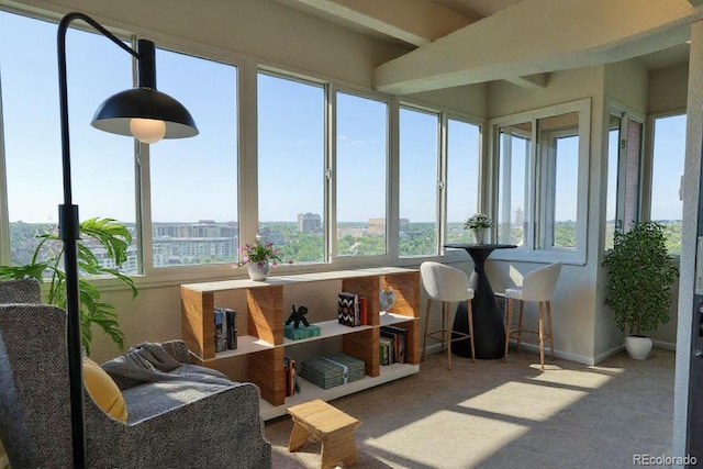 3131 E Alameda Ave Unit 1604, Denver, CO 80209 - photo 22