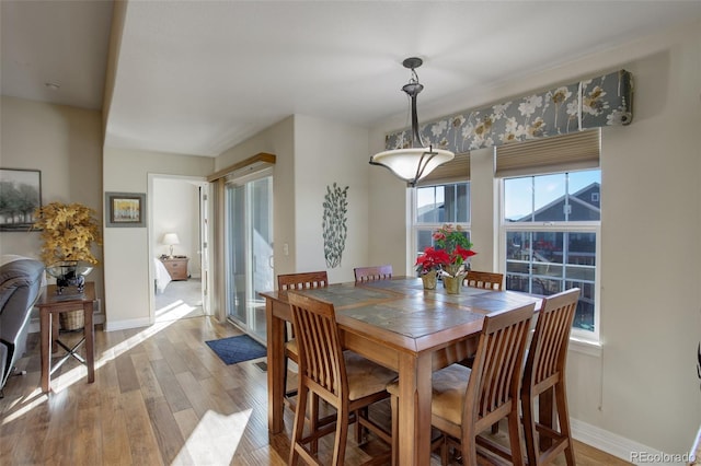 dining room with light hardwood / wood-style floors