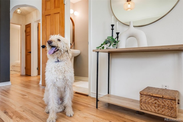 details featuring baseboards, arched walkways, and wood finished floors