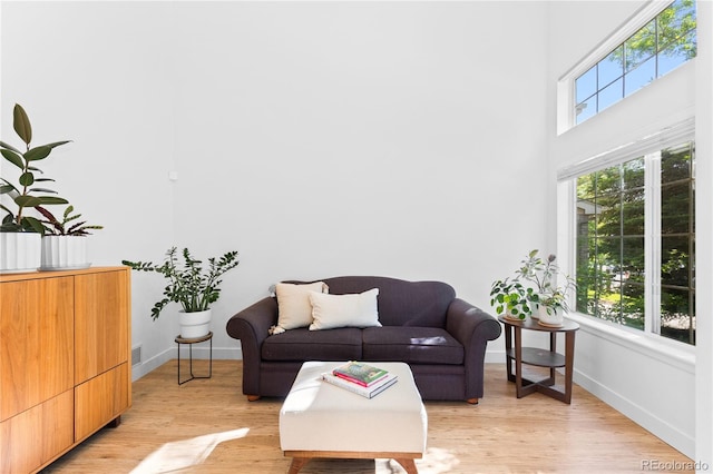 15963 Rock Crystal Dr, Parker, CO 80134 - living area featuring baseboards, light wood finished floors, and a towering ceiling