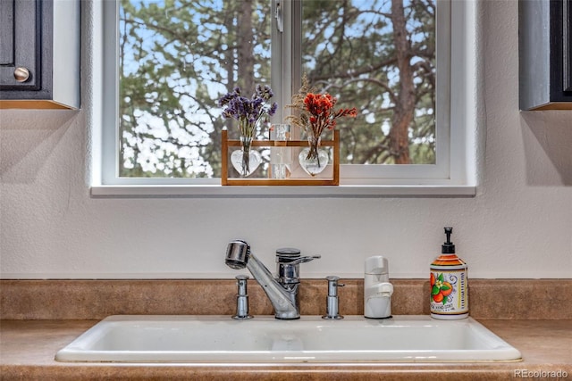 room details featuring sink