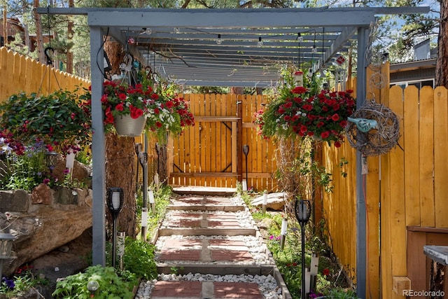 view of yard featuring a pergola