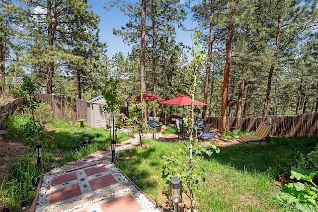 view of yard featuring a storage unit