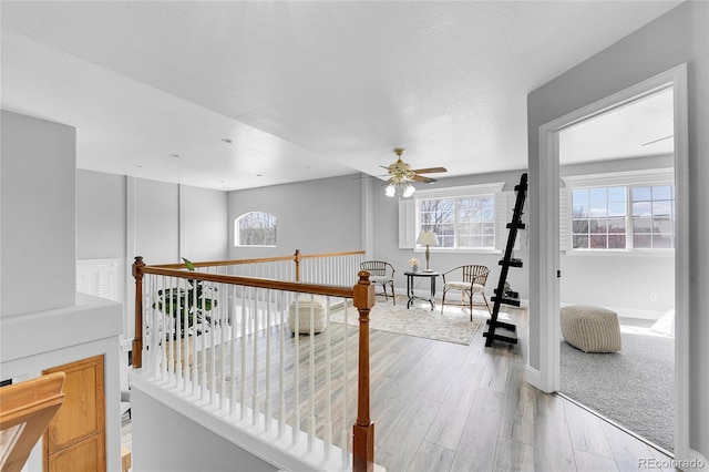 19731 E 40th Ave, Denver, CO 80249 - corridor with light wood-type flooring and baseboards
