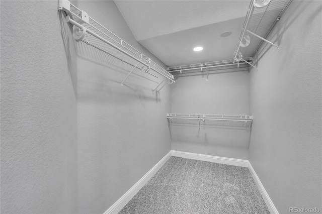 19731 E 40th Ave, Denver, CO 80249 - walk in closet with carpet floors