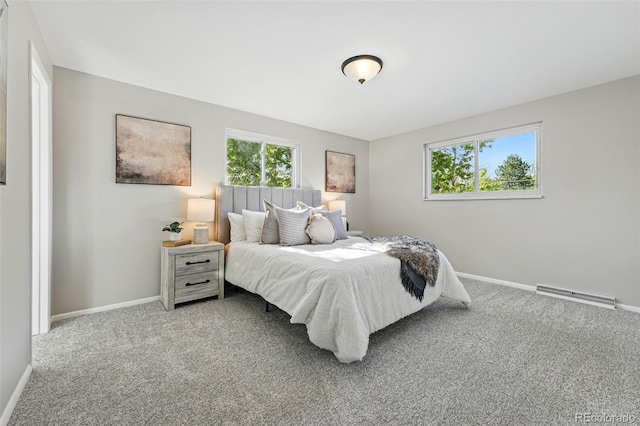 1905 S Linden Ct, Denver, CO 80224 - carpeted bedroom with multiple windows