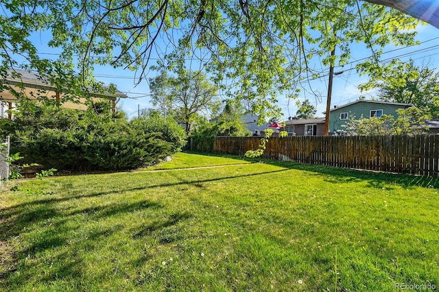 1905 S Linden Ct, Denver, CO 80224 - view of yard