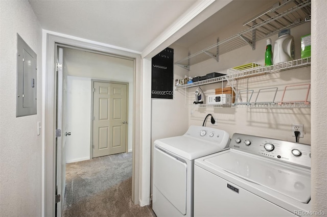 washroom with carpet flooring, electric panel, and independent washer and dryer