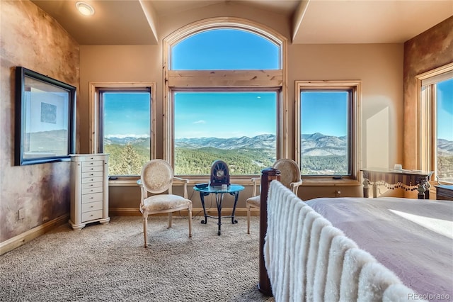 995 Nob Hill Rd, Evergreen, CO 80439 - photo 14