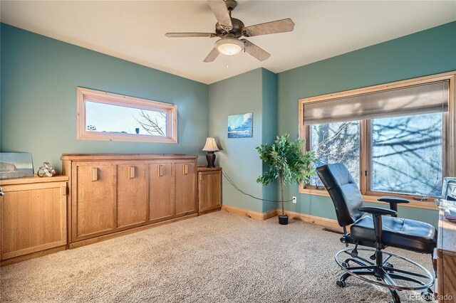 995 Nob Hill Rd, Evergreen, CO 80439 - photo 19