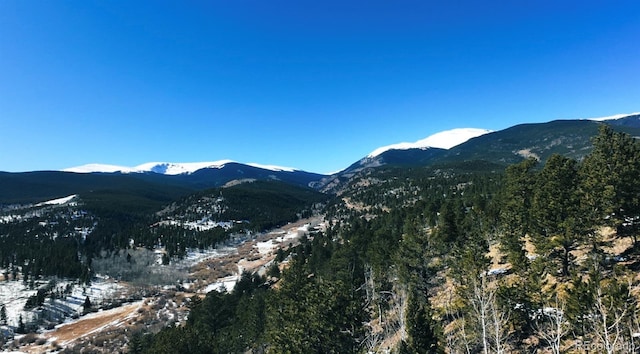 505 Rd P69, Bailey, CO 80421 - view of mountain background