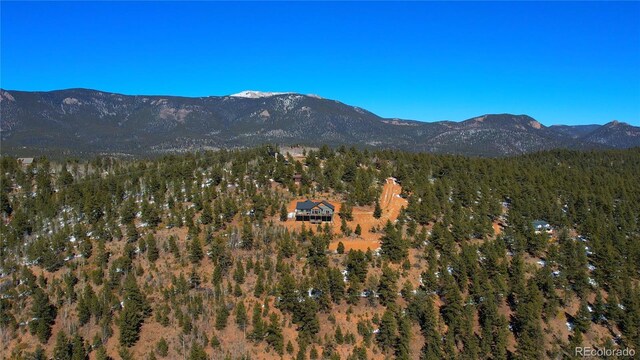 505 Rd P69, Bailey, CO 80421 - view of mountain feature featuring a forest view