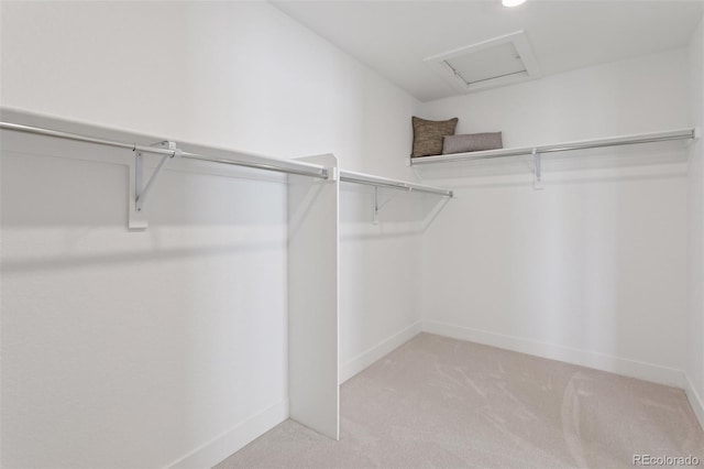 13334 Blue Amber Ct, Parker, CO 80134 - spacious closet featuring attic access and light colored carpet