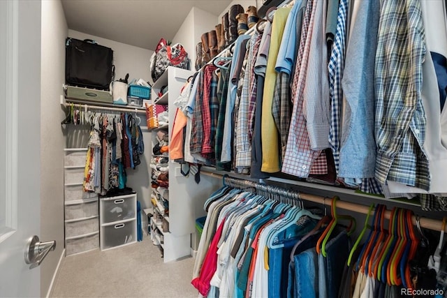 spacious closet featuring carpet flooring