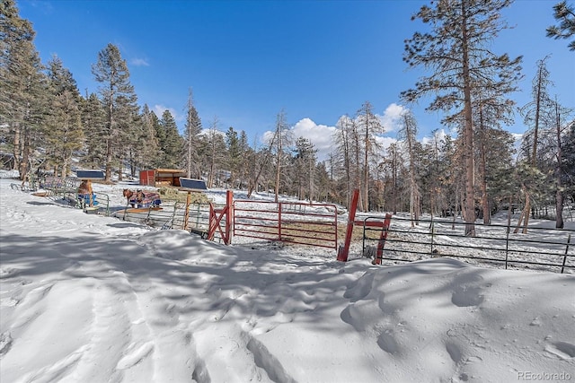 view of snowy yard