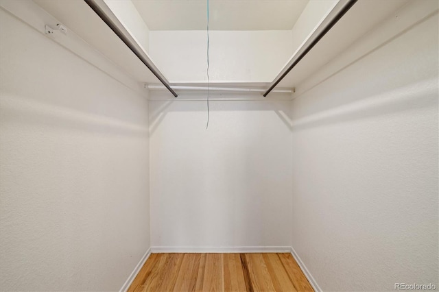 8137 Vanguard Dr, Denver, CO 80221 - walk in closet featuring light wood finished floors