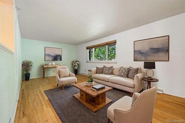 8137 Vanguard Dr, Denver, CO 80221 - living area with light wood-style floors