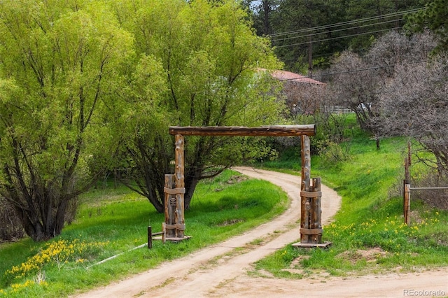 245 N County Highway 67, Sedalia, CO 80135 - view of yard featuring driveway and a view of trees